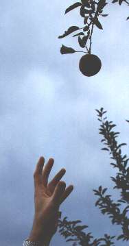 Nice shot