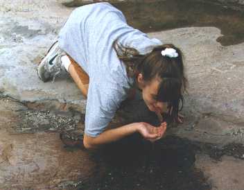 Rainwater in NY tastes best!