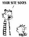 sucks.jpg (4207 bytes)